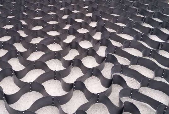 �䳲��������